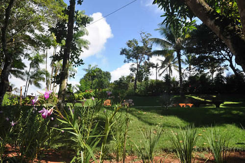 Pousada Da Paz Itacaré Exterior foto